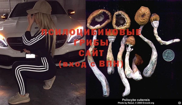 марки nbome Лагань