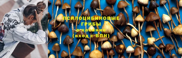 марки nbome Лагань