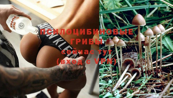 кокаин премиум Ладушкин