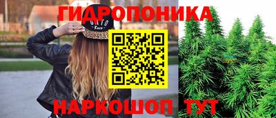 кокс Гусь-Хрустальный