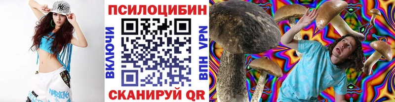 kraken рабочий сайт  Минусинск  Псилоцибиновые грибы Magic Shrooms 