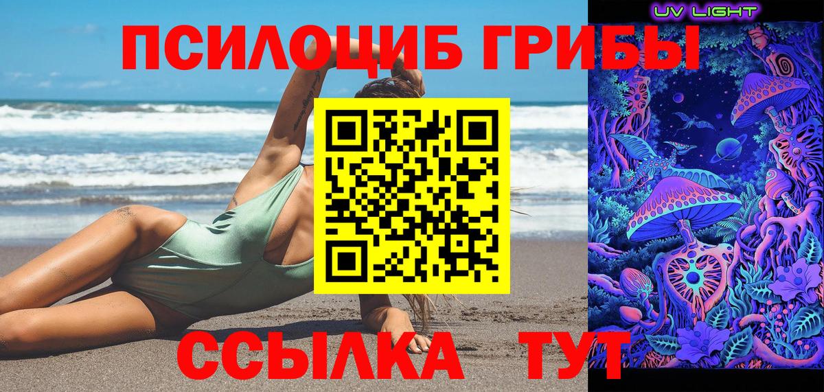 купить наркоту  Вход с VPN  Минусинск  Псилоцибиновые грибы GOLDEN TEACHER 