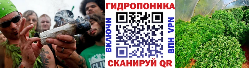 Бошки марихуана сатива  Минусинск 
